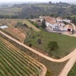 Curso viticultura enología y cata