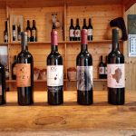 Cata de los vinos de Aibar