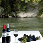Visita con picnic a orillas del río Ebro